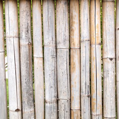 Bambu çit yakın çekim