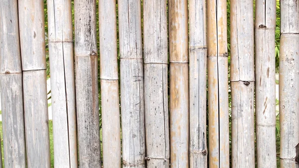 Bamboo fence close up — Stock Photo, Image