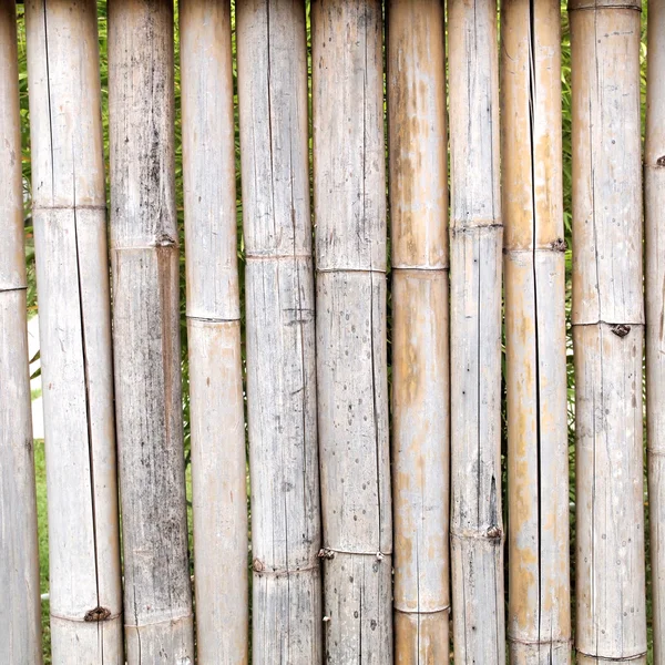 Cerca de bambu perto — Fotografia de Stock