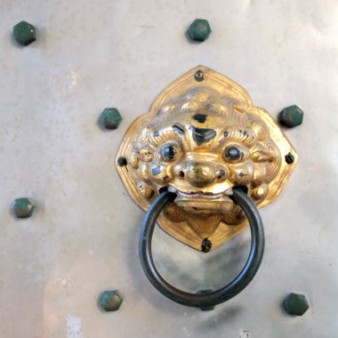 Aslan kapıyı kapat