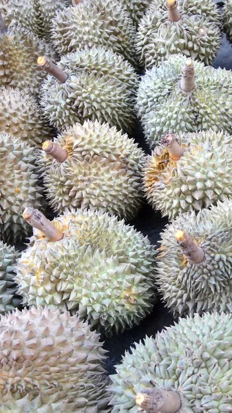 Cibo durian primo piano sfondo — Foto Stock