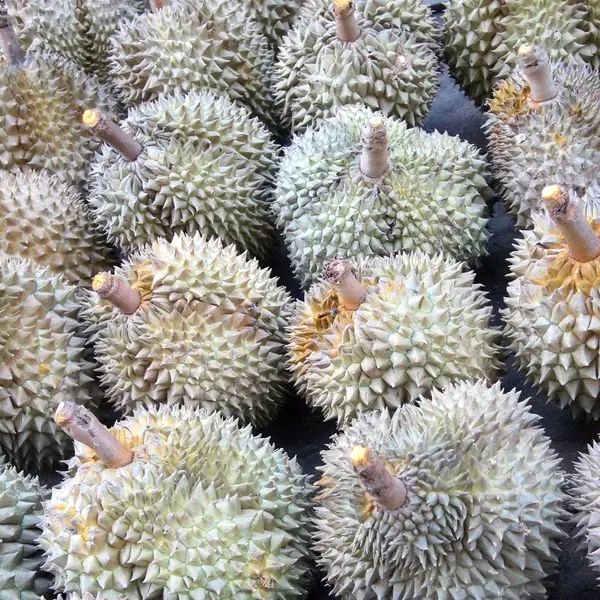Mat durian på nära håll — Stockfoto