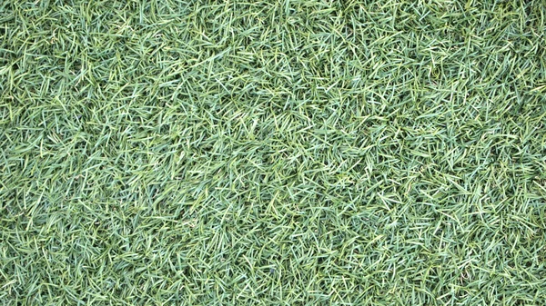 Artificial Grass Field Top View Texture — Stock Photo, Image