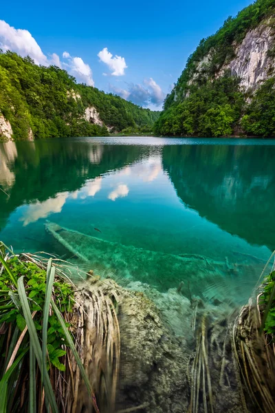 Gezonken boot in nationaal park plitvice lakes in Kroatië — Stockfoto