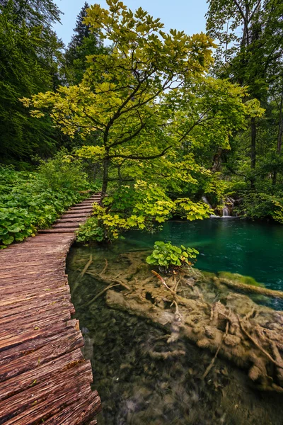 Parque nacional de los lagos plitvice, croacia —  Fotos de Stock