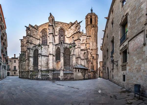 Panorama van de kathedraal van de Heilige Kruis en Saint Eulalia, weergeven — Stockfoto