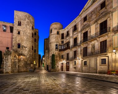 Antik Roma kapısı ve Placa Nova içinde sabah, Barcelona, kedi
