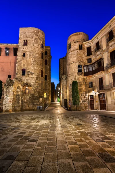 Oude Romeinse poort en Placa Nova in de ochtend, Barcelona, kat — Stockfoto