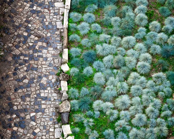 Kullerstensväg och gröna växter i San Giorgio fästning i Lissabon, — Stockfoto