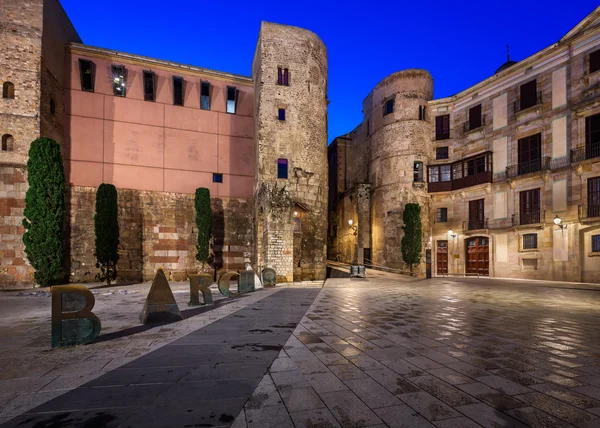 Römisches Tor und Placa Nova am Morgen, Barcelona, Katze — Stockfoto