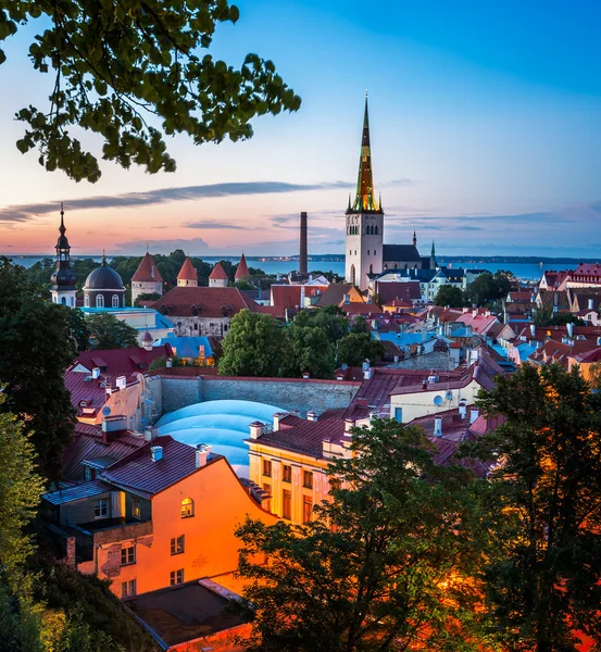 Akşamları, Tallinn, Estonya Tallinn eski şehrin havadan görünümü — Stok fotoğraf