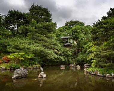 pondin, costapha park, kyoto, j kayaya oturan balıkçıl