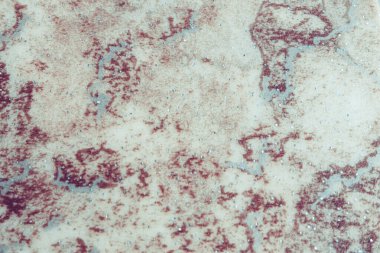 Ofis muşambası dokusu yakın. Kamu alanları için yüksek güçlü döşeme.