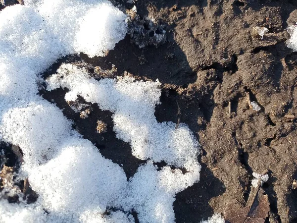 Snow lies on black ground. Snow is melting .