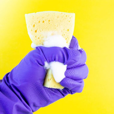 Temizlik için lastik eldiven verin. Mutfak süngeri elinde. Pencere temizliği için sprey şişesi. İzole edilmiş arka planda köpük süngeri.