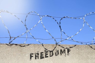 Freedom inscription on the wall with barbed wire. Protests for the freedom of the prisoner. Graffiti on the wall. Freedom for the prisoners.