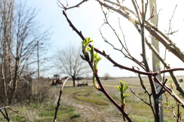 Uzakta bir köyde eski bir traktör. Köydeki harabeler ve eski ekipmanlar. Traktöre giden yol. Tarım.