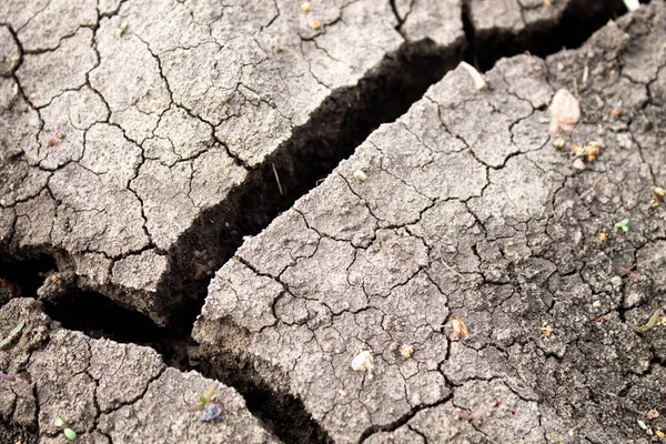 Deep cracks in the ground. The dry ground cracked. Black soil with deep splits. The consequences of an earthquake.