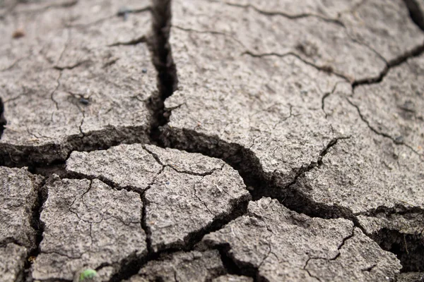 Deep cracks in the ground. The dry ground cracked. Black soil with deep splits. The consequences of an earthquake.