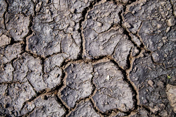 Rachaduras no chão depois da chuva. Terra seca com rachaduras — Fotografia de Stock