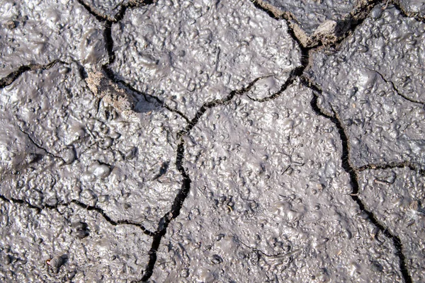 Тріщини в землі після дощу. Сушена земля з тріщинами — стокове фото