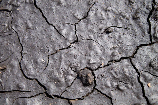 Pęknięcia Ziemi Deszczu Sucha Ziemia Pęknięciami Powodzi Pęknięta Sucha Skorupa — Zdjęcie stockowe