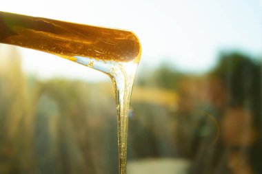 Karıştırıcı macun. Vücut kılları alınıyor. Depilasyon. Vücut bakım ürünleri.