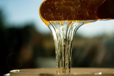 Karıştırıcı macun. Vücut kılları alınıyor. Depilasyon. Hamur, şekerli spatuladan damlıyor. Vücut bakım ürünleri.