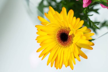 8 Mart 'ta şenlik buketi. Uluslararası Kadınlar Günü. Annemin tatili.