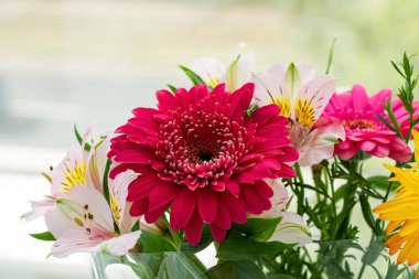 Çok güzel çiçekler. Beyaz arka planda bir buket çok renkli çiçek. 8 Mart 'ta şenlik buketi. Uluslararası Kadınlar Günü. Annemin tatili. Doğum günü.