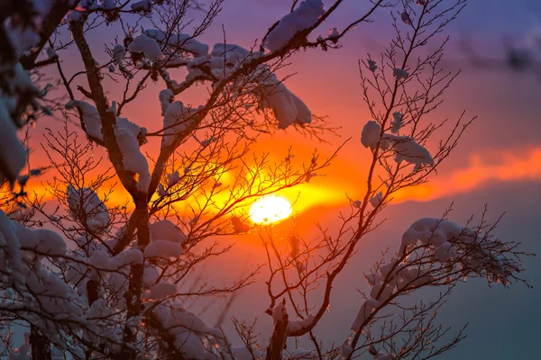 Berg zonsondergang in de winter — Stockfoto