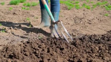 Bahar toprağını çatalla kazmak, bahçede çalışmak.