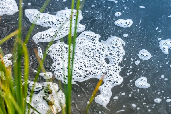 水质污染的河流 — — 全球变暖 — 图库照片