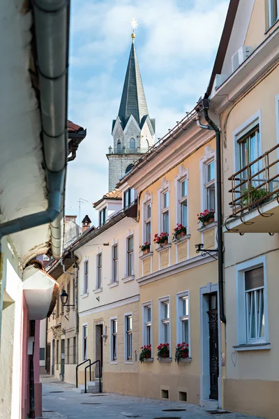 Panorama of Kranj, Slovenia, Europe. — Stock Photo, Image