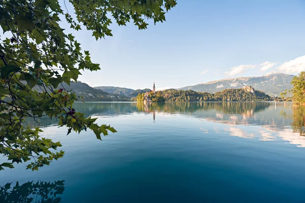 Ilha no lago Bled — Fotografia de Stock