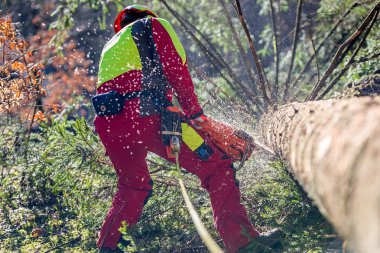 Elektrikli testere ile ağaç felling işçi