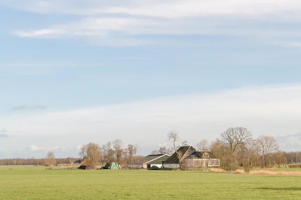 Weiland met boerderij in Rijs — Stockfoto