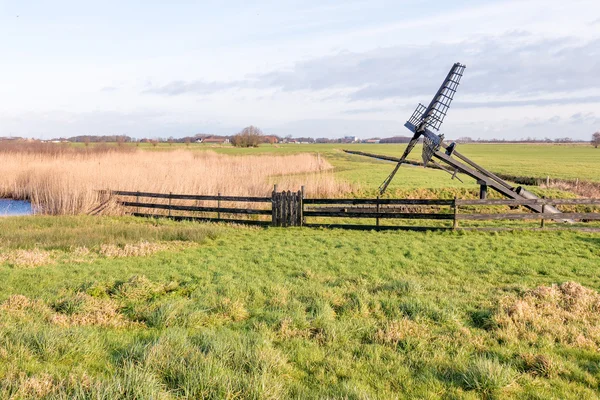 Prairie avec moulin à vent Paaltjasker . — Photo