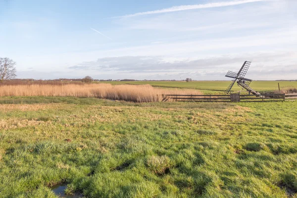 Prairie avec moulin à vent Paaltjasker . — Photo