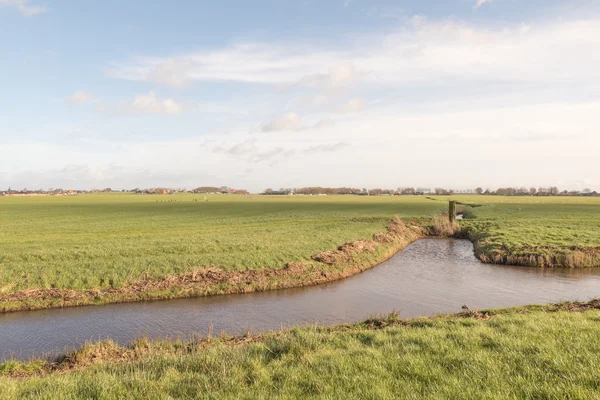 Weiland met een greppel. — Stockfoto