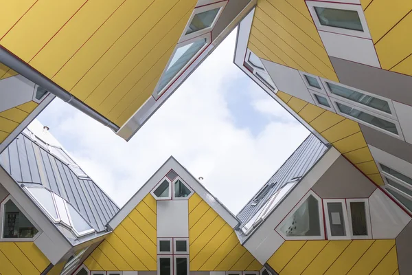 Rotterdam 'da küp evler.