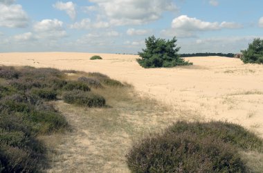 Yatay Milli Park Hoge Veluwe.