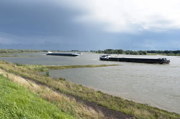 Fiume Il Waal . — Foto Stock