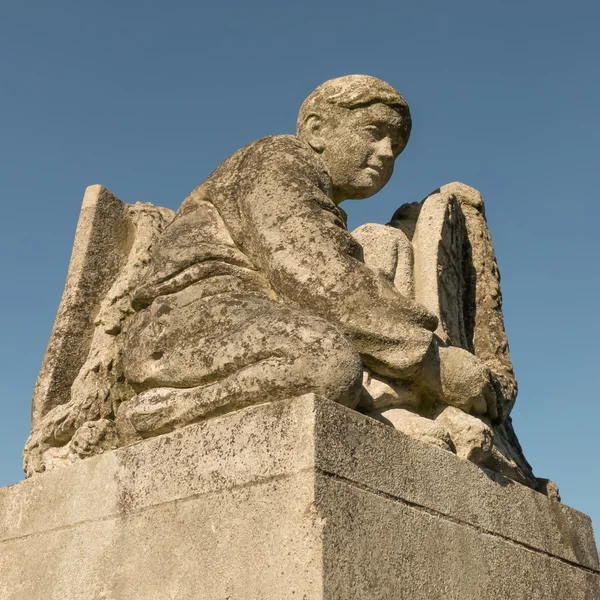 Estatua para la reina Emma realizada por Ludwig Oswald Wenckebach . —  Fotos de Stock