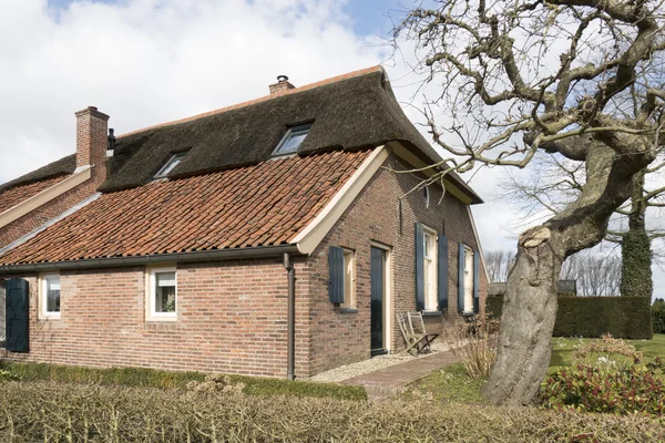 Farmhouse in Bronckhorst. — Stock Photo, Image