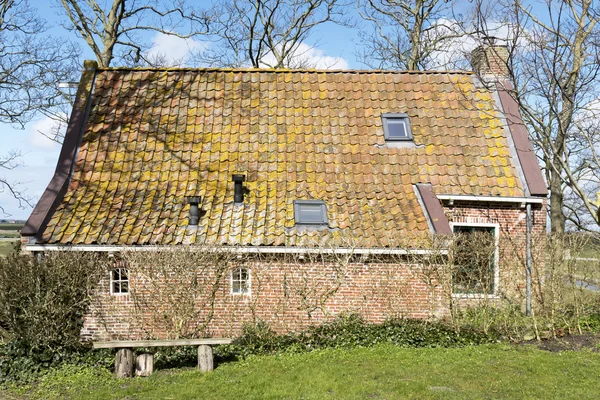 TERP dům v provincii friesland. — Stock fotografie