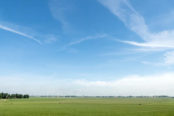 ทุ่งหญ้าที่ Scarl ใน Friesland . — ภาพถ่ายสต็อก