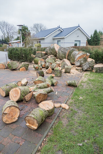 Преображенное пиломатериалы
.