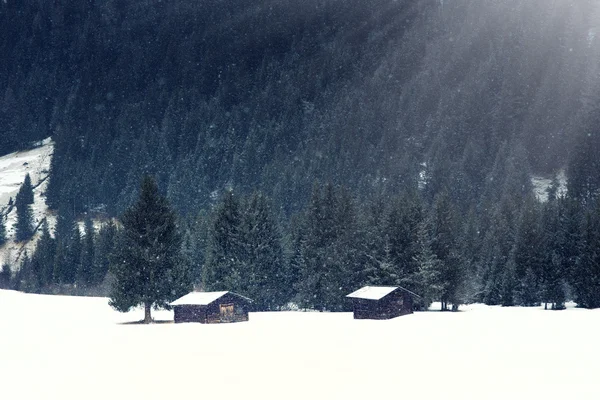 Paesaggio invernale neve — Foto Stock