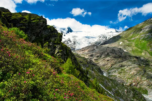 Yaz dağ — Stok fotoğraf